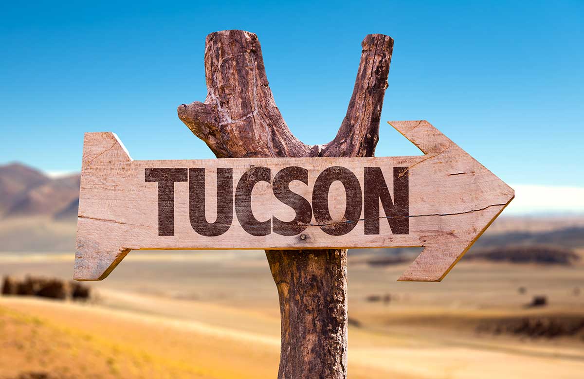 Tucson "This Way" wooden sign nailed to tree stump