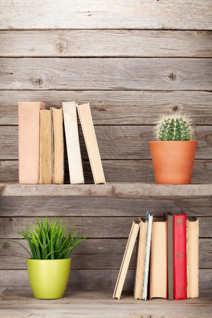 Pare down books and other shelved items for a simple decluttered look!