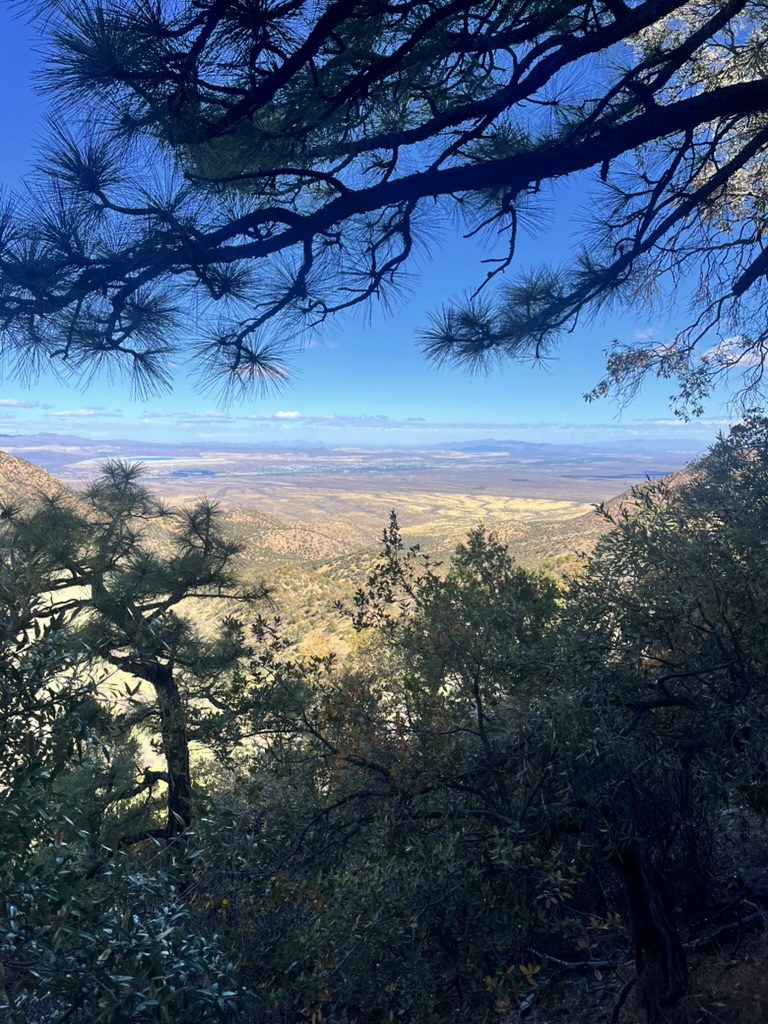 Up here in the trees you'll find cooler weather and great trails - take a day trip!