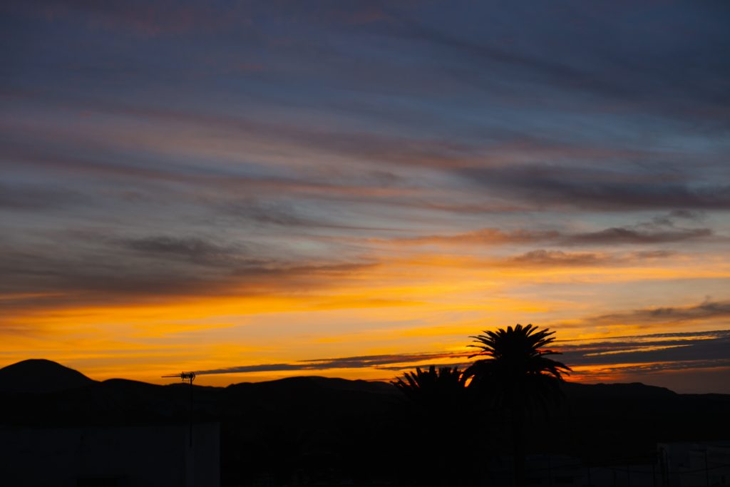 Palo Verde Neighborhood is great for evening sunsets in Tucson.