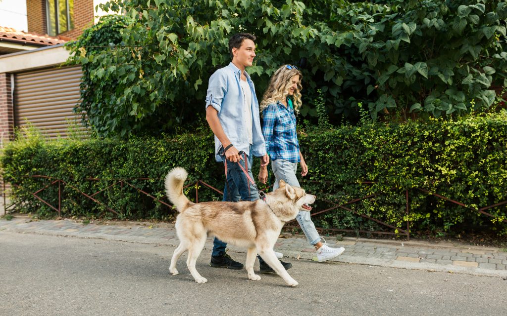 young stylish couple walking with dog in street, man and woman happy together