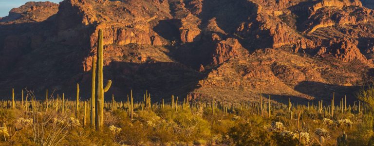 Dove Mountain, AZ homes - resort living