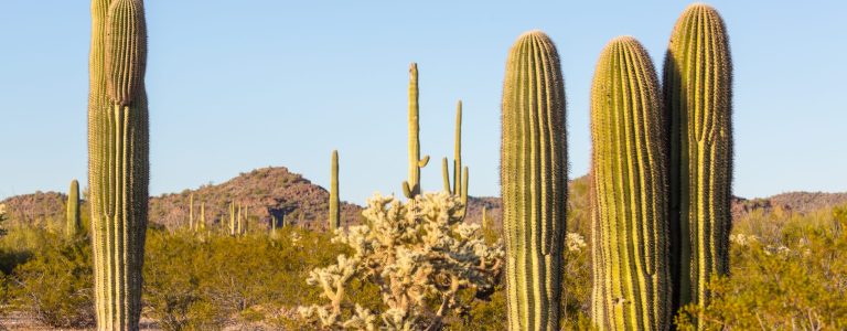 West Side Tucson Homes